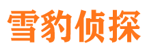 成武侦探